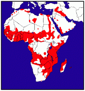 Some of the disease locations spread throughout Africa and the South East - source: http://www.path.cam.ac.uk/~schisto/Background/Distribution.html